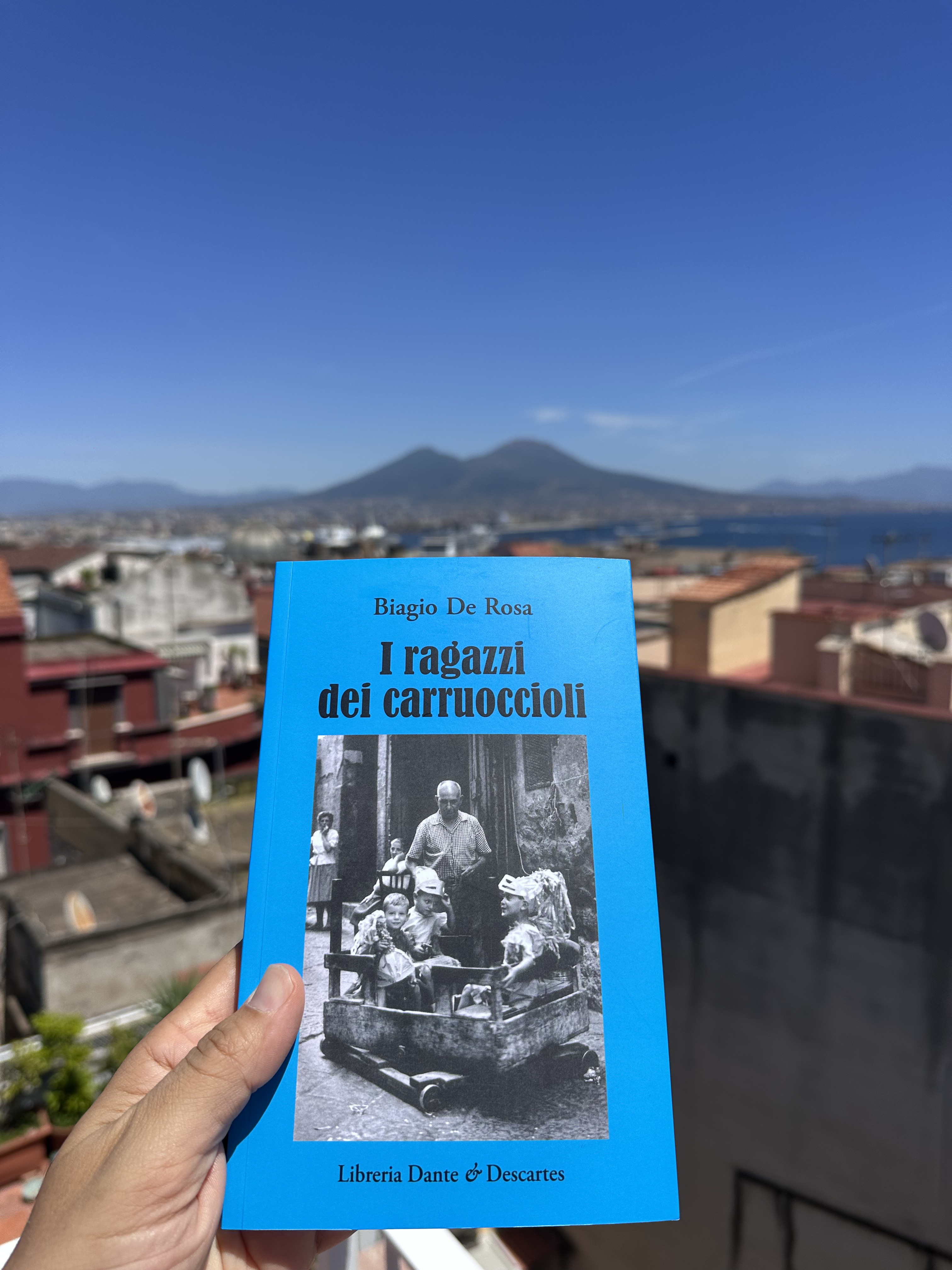 Il Vesuvio visto da Napoli